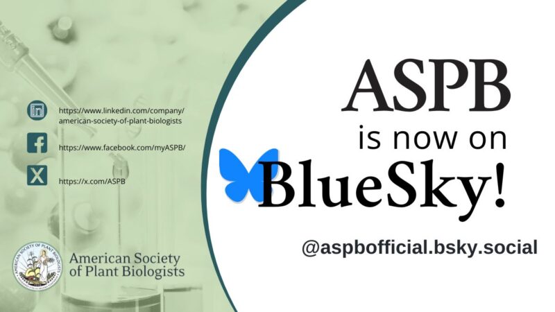 Bluesky Plant Direct